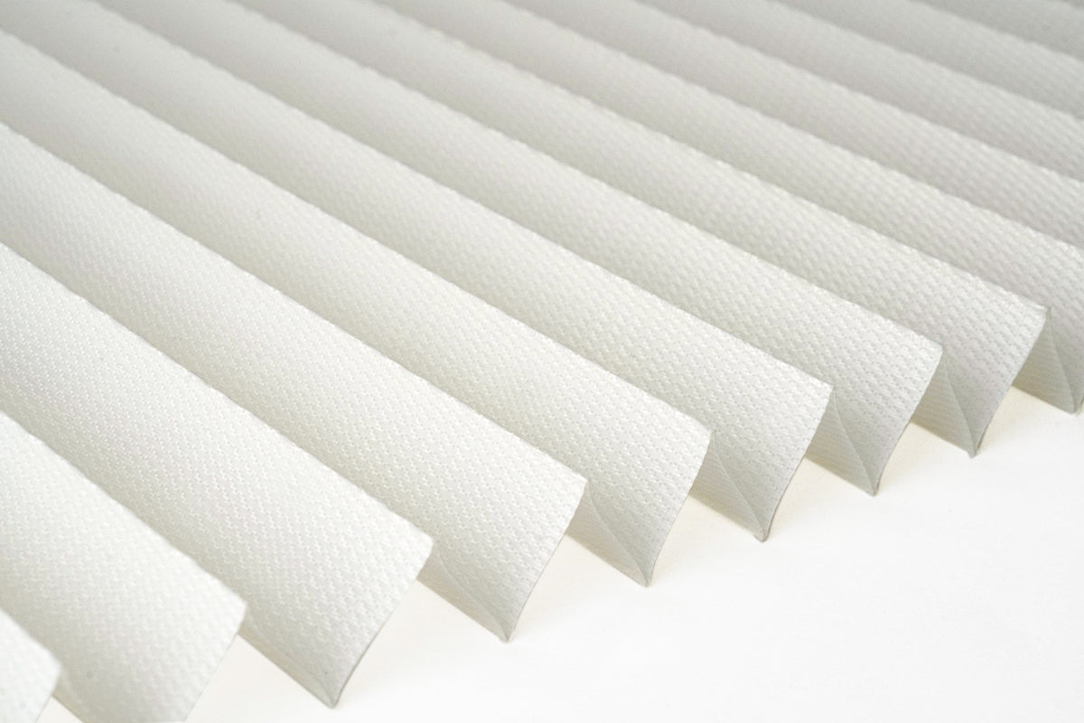 3101 White